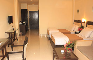 Hotel The Vaishali Residency